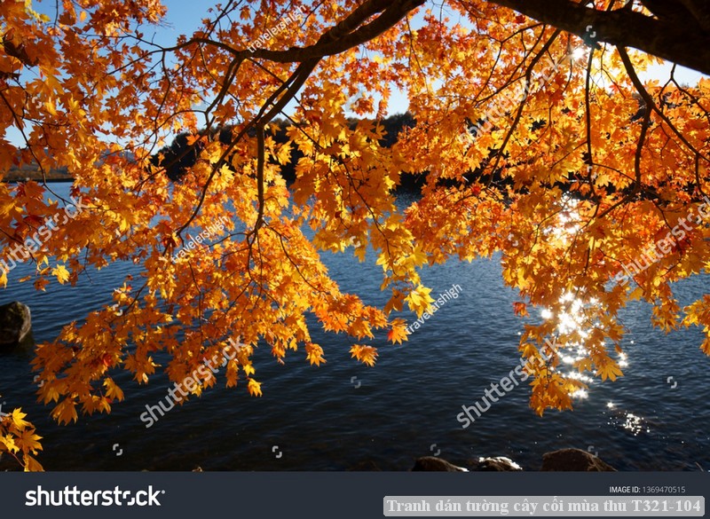 Tranh dán tường cây cối mùa thu T321-104